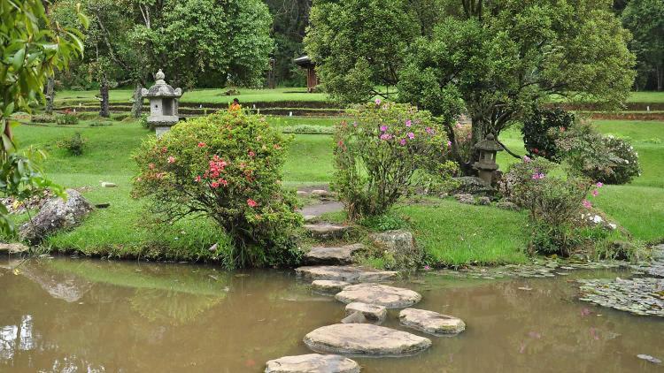 Avenue Nuwara Eliya Apartment Bagian luar foto